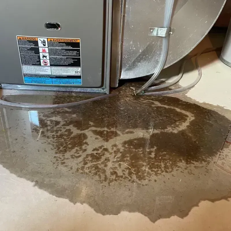 Appliance Leak Cleanup in El Dorado Springs, MO